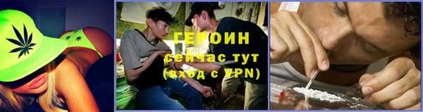 прущие грибы Сатка