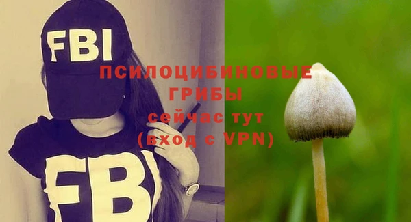 МДПВ Аркадак