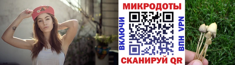 Псилоцибиновые грибы Psilocybine cubensis  Струнино 